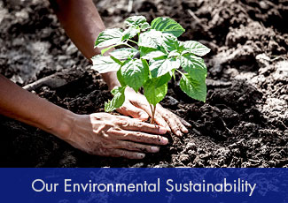 Our Environmental Sustainability